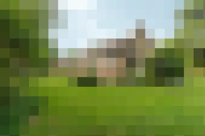 Van Haapsstraat 90 Nijmegen thumbnail 34