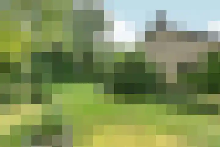 Van Haapsstraat 90 Nijmegen thumbnail 37