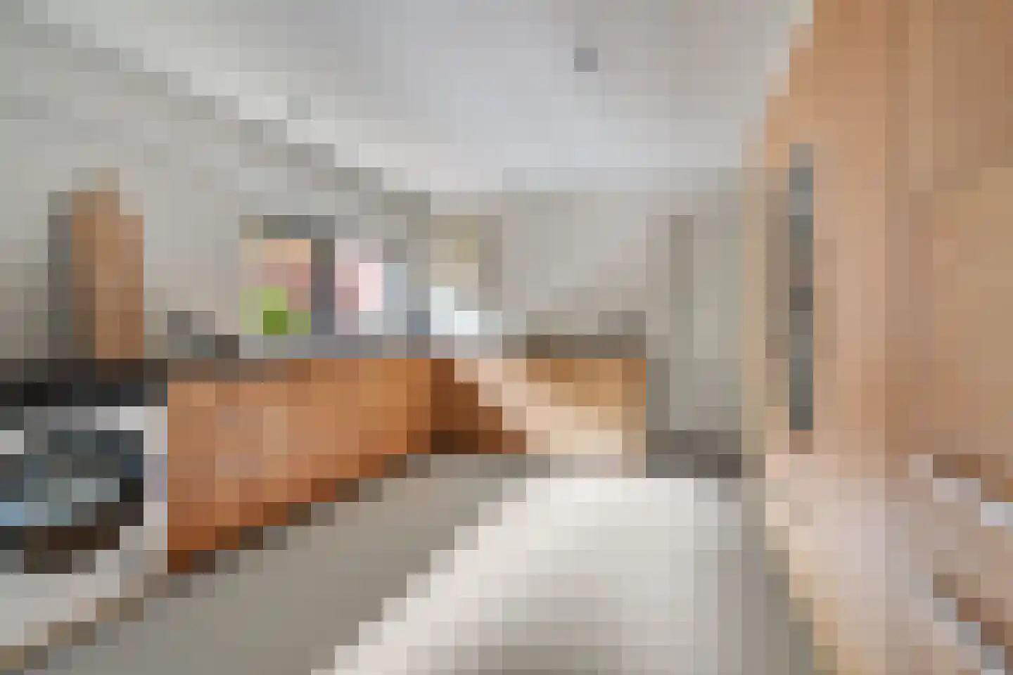 Van Haapsstraat 96 Nijmegen thumbnail 20