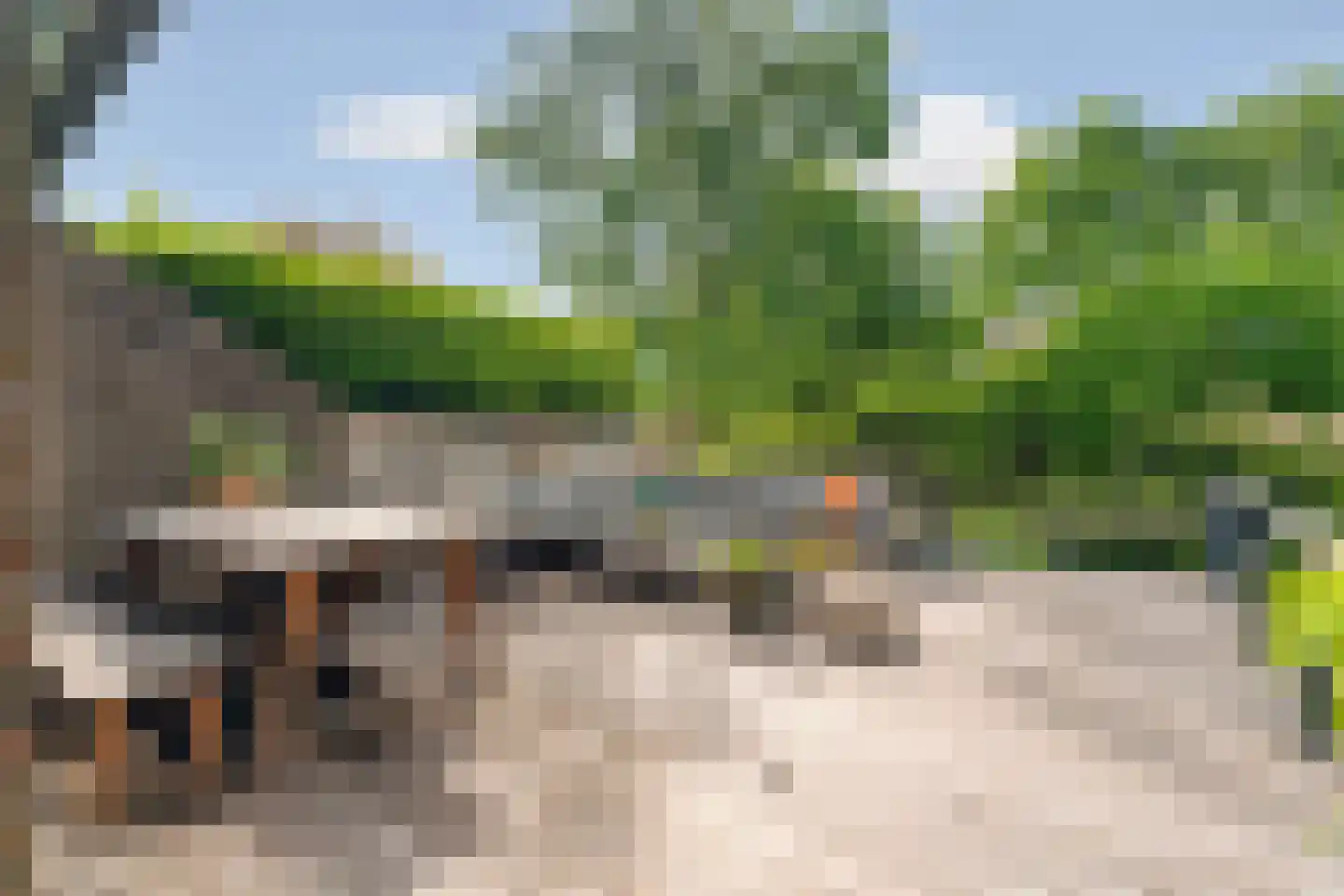 Van Haapsstraat 96 Nijmegen thumbnail 37