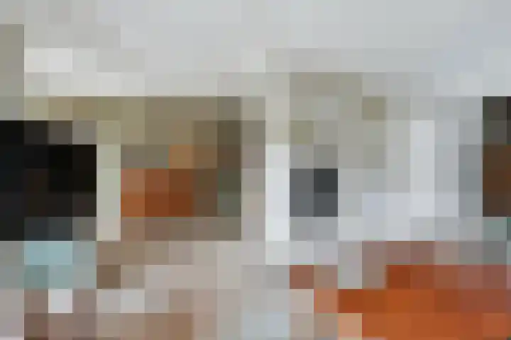 Van Haarenstraat 9 Diessen thumbnail 10