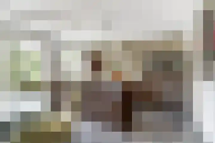 Van Haarenstraat 9 Diessen thumbnail 14