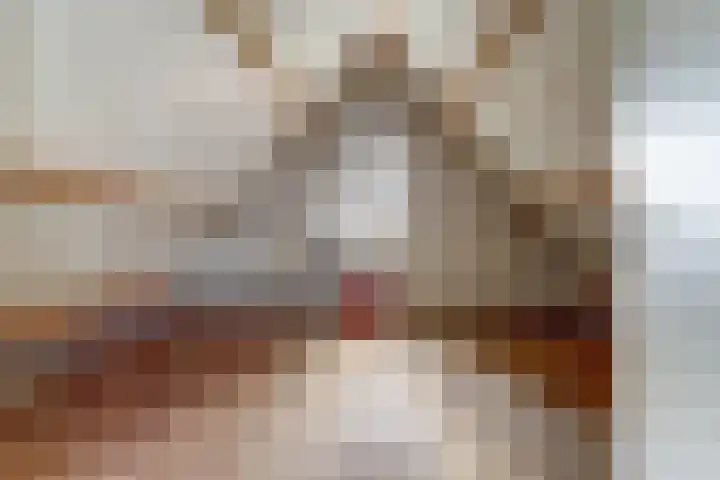 Van Haarenstraat 9 Diessen thumbnail 32
