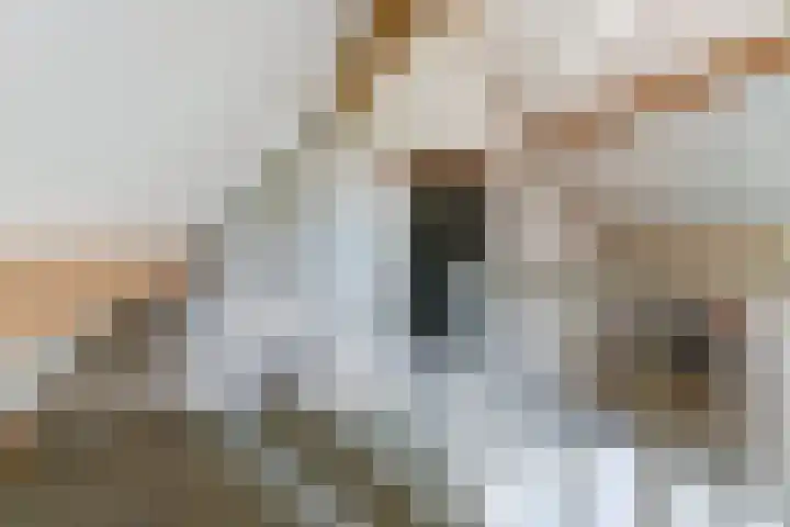 Van Haarenstraat 9 Diessen thumbnail 34