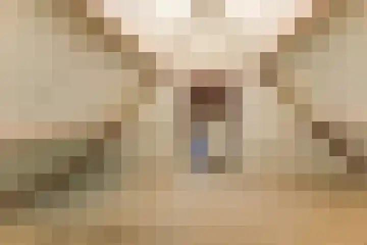 Van Haarenstraat 9 Diessen thumbnail 35