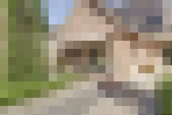 Van Haarenstraat 9 Diessen thumbnail 36