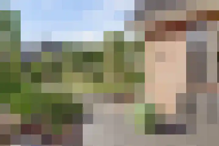 Van Haarenstraat 9 Diessen thumbnail 38