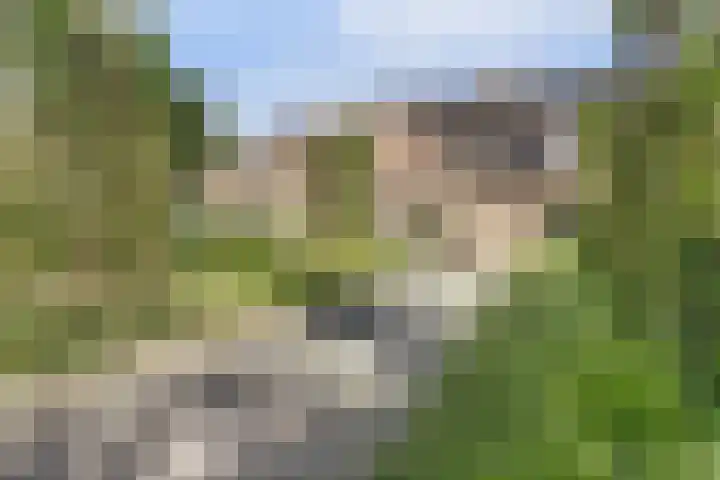 Van Haarenstraat 9 Diessen thumbnail 39