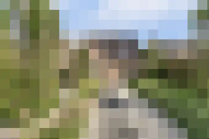 Van Haarenstraat 9 Diessen thumbnail 40
