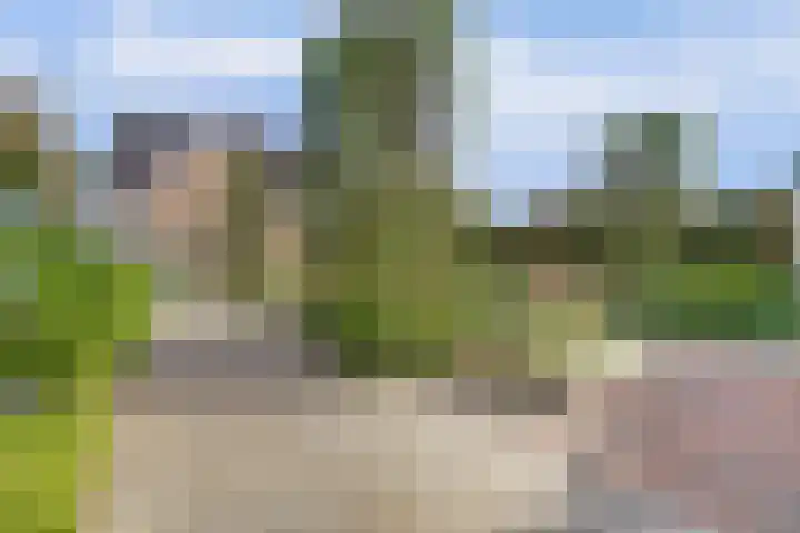 Van Haarenstraat 9 Diessen thumbnail 41