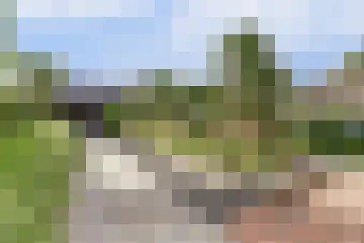 Van Haarenstraat 9 Diessen thumbnail 42