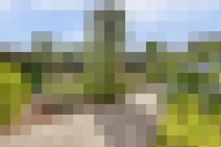 Van Haarenstraat 9 Diessen thumbnail 43