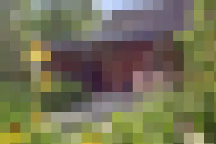 Van Haarenstraat 9 Diessen thumbnail 44