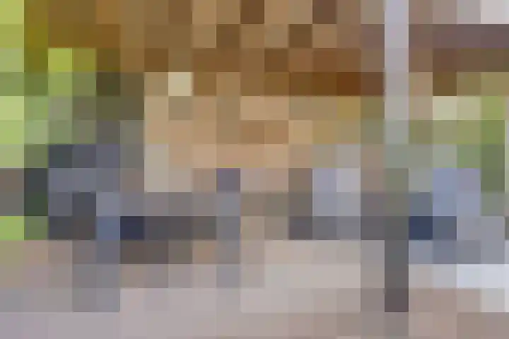 Van Haarenstraat 9 Diessen thumbnail 46