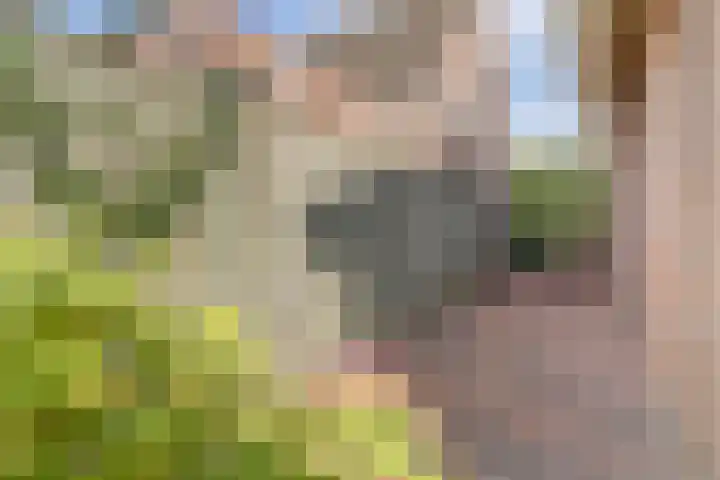 Van Haarenstraat 9 Diessen thumbnail 47