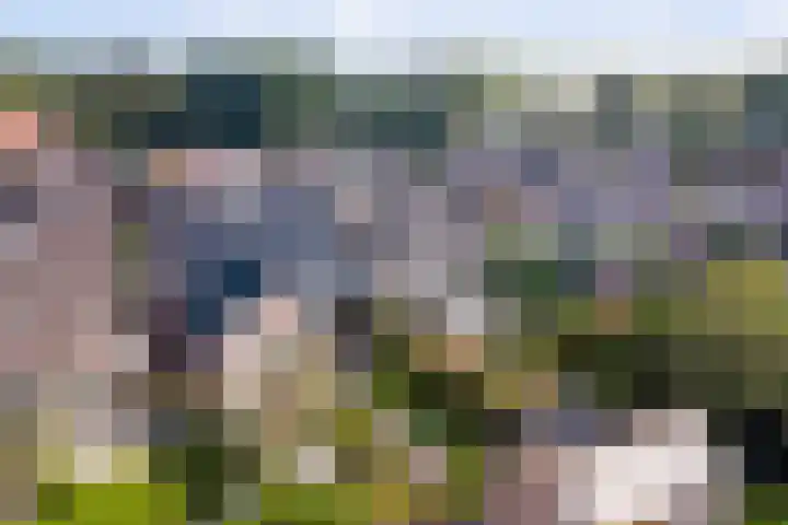 Van Haarenstraat 9 Diessen thumbnail 48