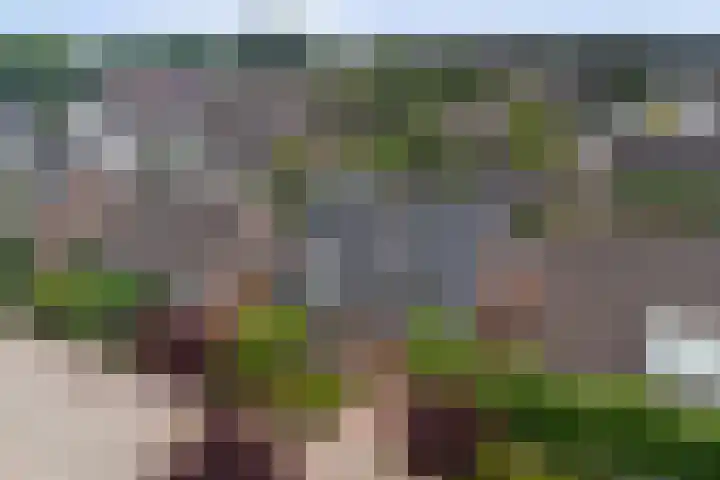 Van Haarenstraat 9 Diessen thumbnail 49
