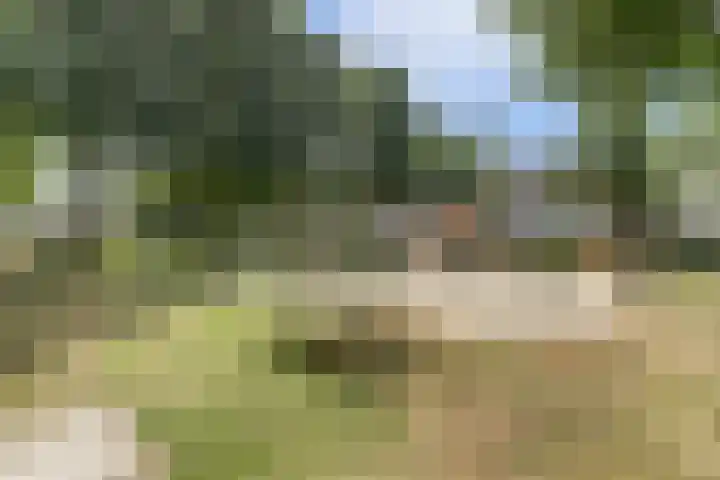 Van Haarenstraat 9 Diessen thumbnail 52
