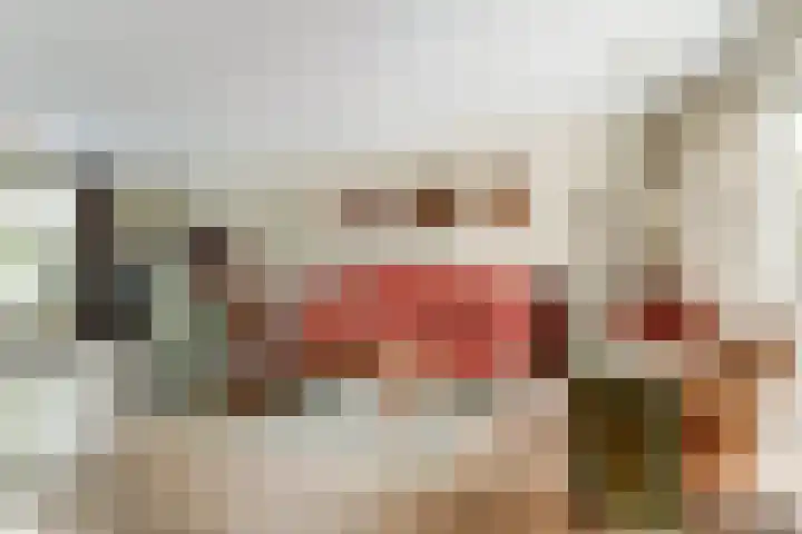 Van Haarenstraat 9 Diessen thumbnail 9