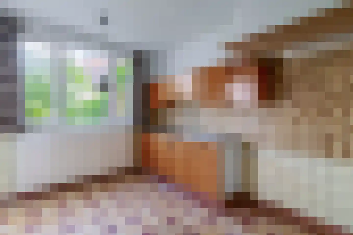 van Haeffstraat 4 Venlo thumbnail 10