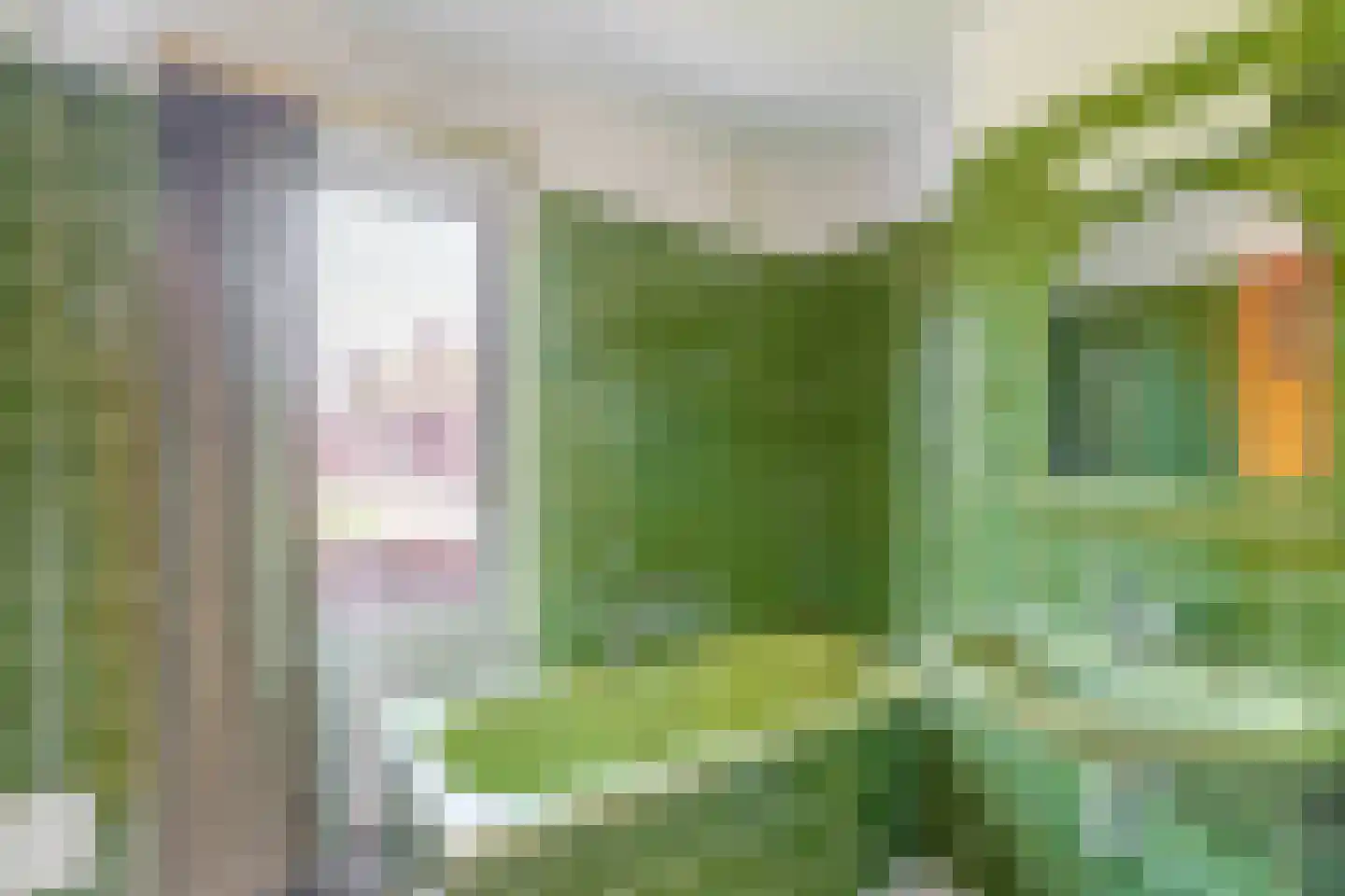 van Haeffstraat 4 Venlo thumbnail 20