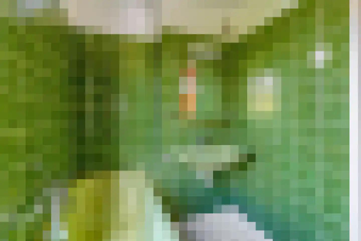 van Haeffstraat 4 Venlo thumbnail 21