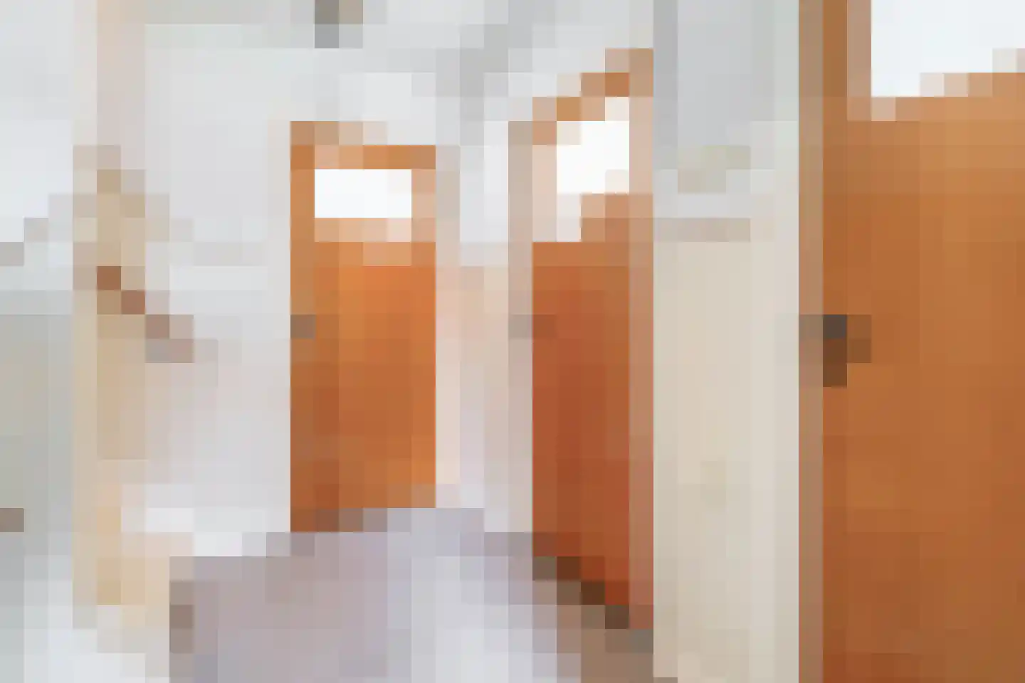 van Haeffstraat 4 Venlo thumbnail 23