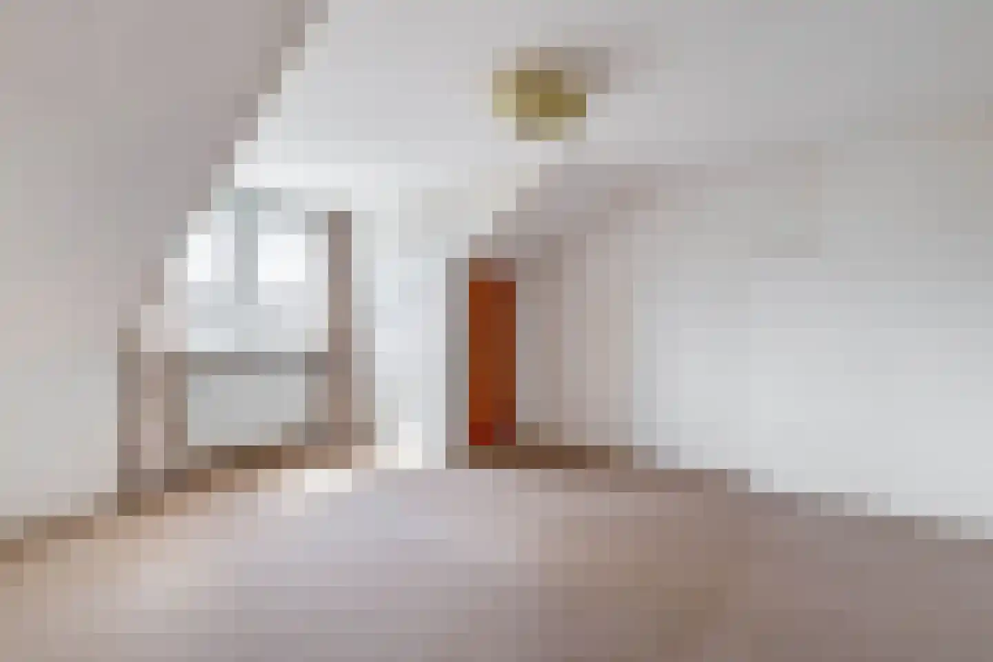 van Haeffstraat 4 Venlo thumbnail 25