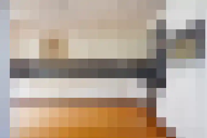 van Haemstedestraat 22 De Lier thumbnail 11