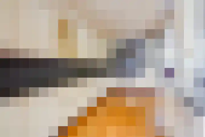 van Haemstedestraat 22 De Lier thumbnail 12