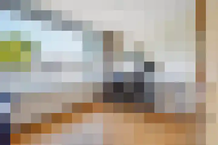 van Haemstedestraat 22 De Lier thumbnail 14