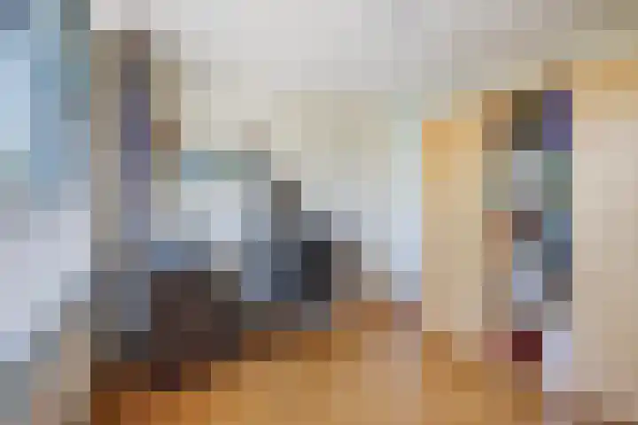 van Haemstedestraat 22 De Lier thumbnail 15