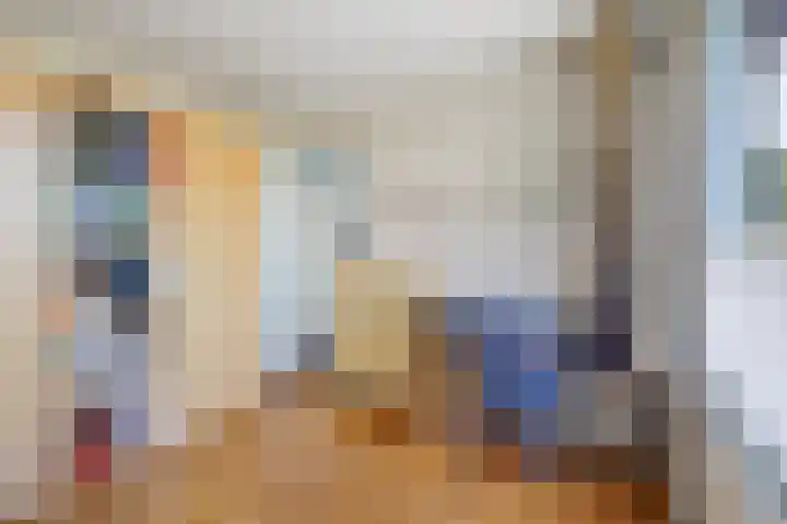 van Haemstedestraat 22 De Lier thumbnail 16