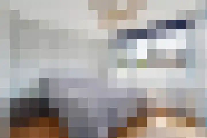 van Haemstedestraat 22 De Lier thumbnail 17