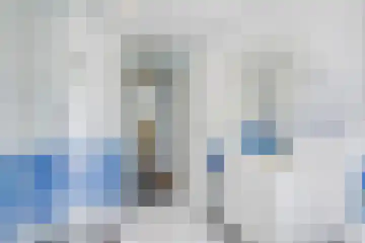 van Haemstedestraat 22 De Lier thumbnail 21