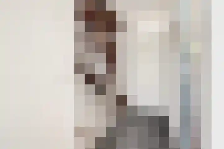 van Haemstedestraat 22 De Lier thumbnail 23