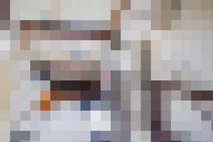 van Haemstedestraat 22 De Lier thumbnail 24