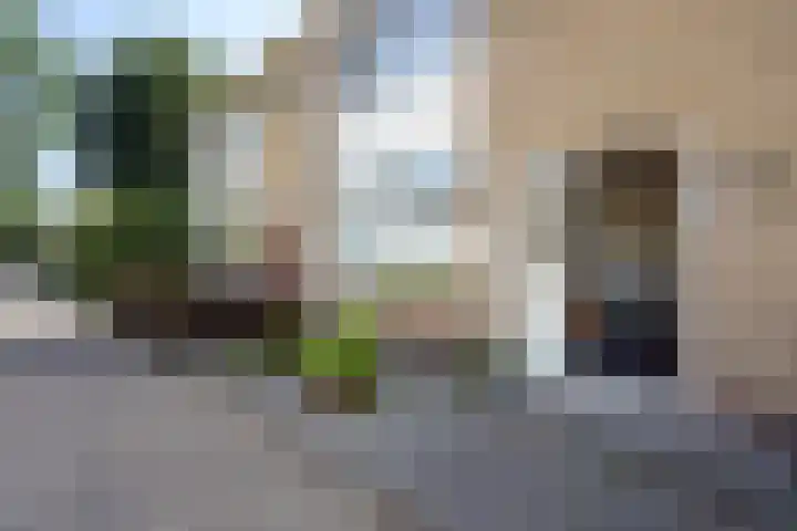van Haemstedestraat 22 De Lier thumbnail 36