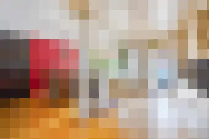 van Haemstedestraat 22 De Lier thumbnail 9