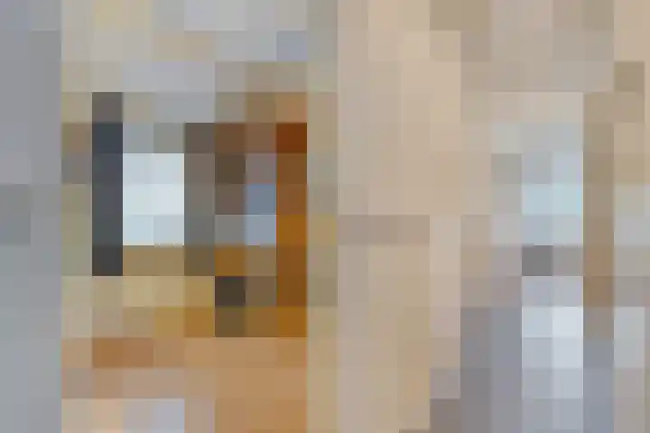 Van Haeringenstraat 37 Dedemsvaart thumbnail 19