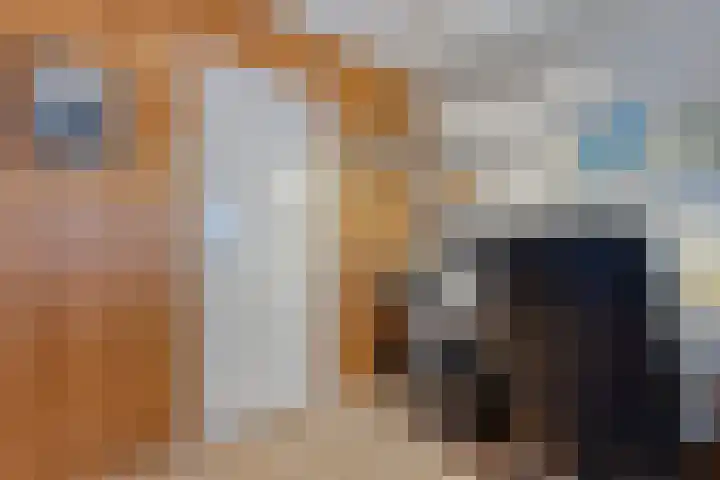 Van Haeringenstraat 37 Dedemsvaart thumbnail 22