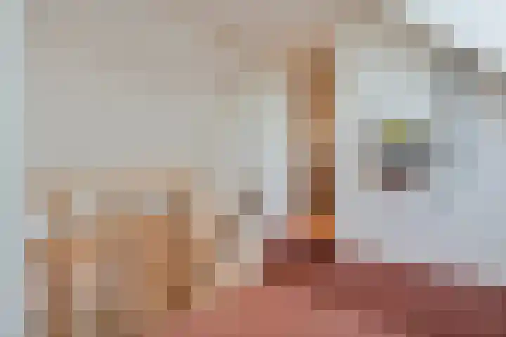 Van Haeringenstraat 37 Dedemsvaart thumbnail 32