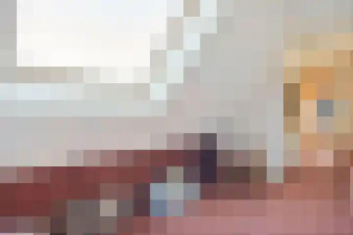 Van Haeringenstraat 37 Dedemsvaart thumbnail 33