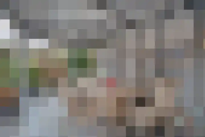 Van Haeringenstraat 37 Dedemsvaart thumbnail 47