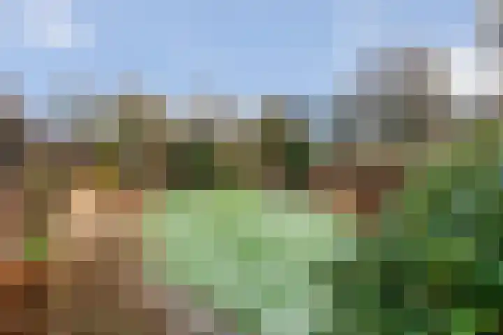 Van Haeringenstraat 37 Dedemsvaart thumbnail 51