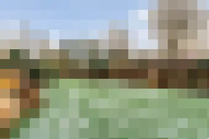 Van Haeringenstraat 37 Dedemsvaart thumbnail 52