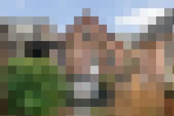 Van Haeringenstraat 37 Dedemsvaart thumbnail 53