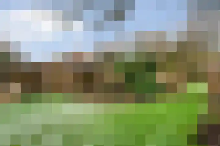 Van Haeringenstraat 37 Dedemsvaart thumbnail 54