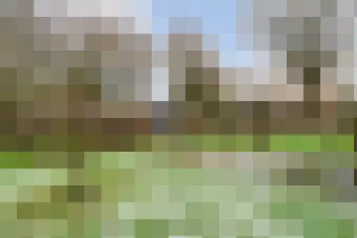 Van Haeringenstraat 37 Dedemsvaart thumbnail 57