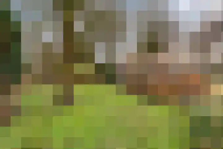 Van Haeringenstraat 37 Dedemsvaart thumbnail 58
